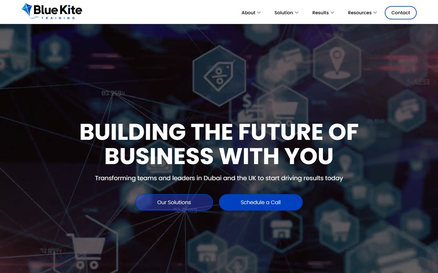 Blue Kite Training website portfolio preview