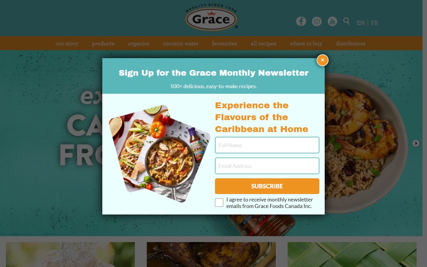 Grace Foods website project reference