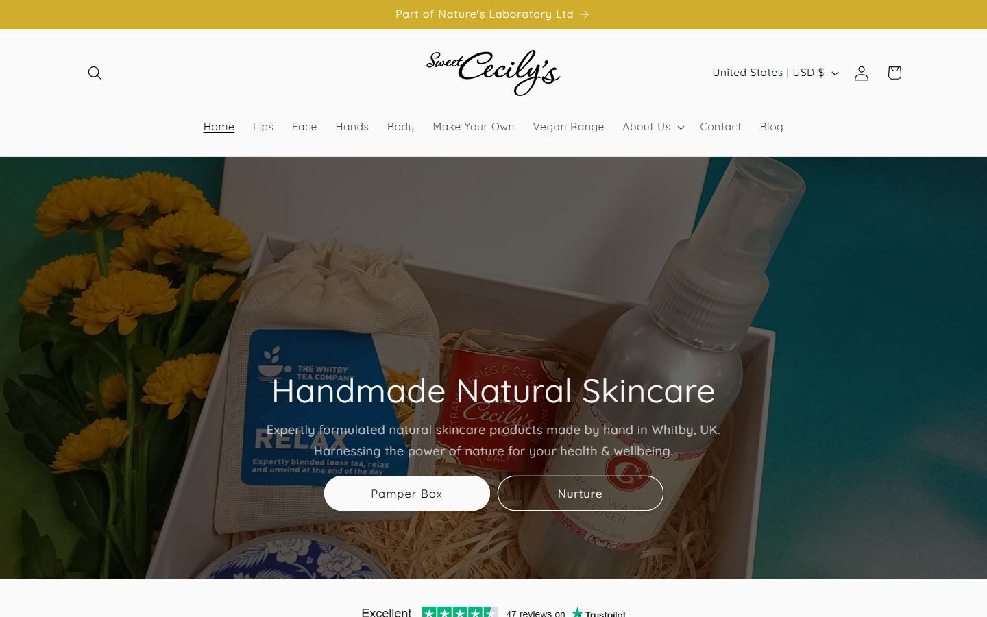 Sweet Cecily's portfolio preview